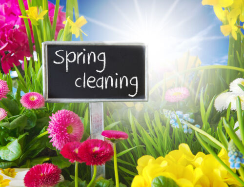 Maximizing Spring Cleaning: Benefits of Hiring Professional Cleaners in Lakeland – Winter Haven