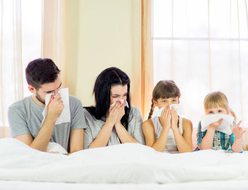 Top 5 Hidden Household Allergens: How Our Lakeland Cleaners Can Help